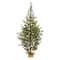 6ft. Pre-Lit Fraser Fir Artificial Christmas Tree, Clear LED Lights